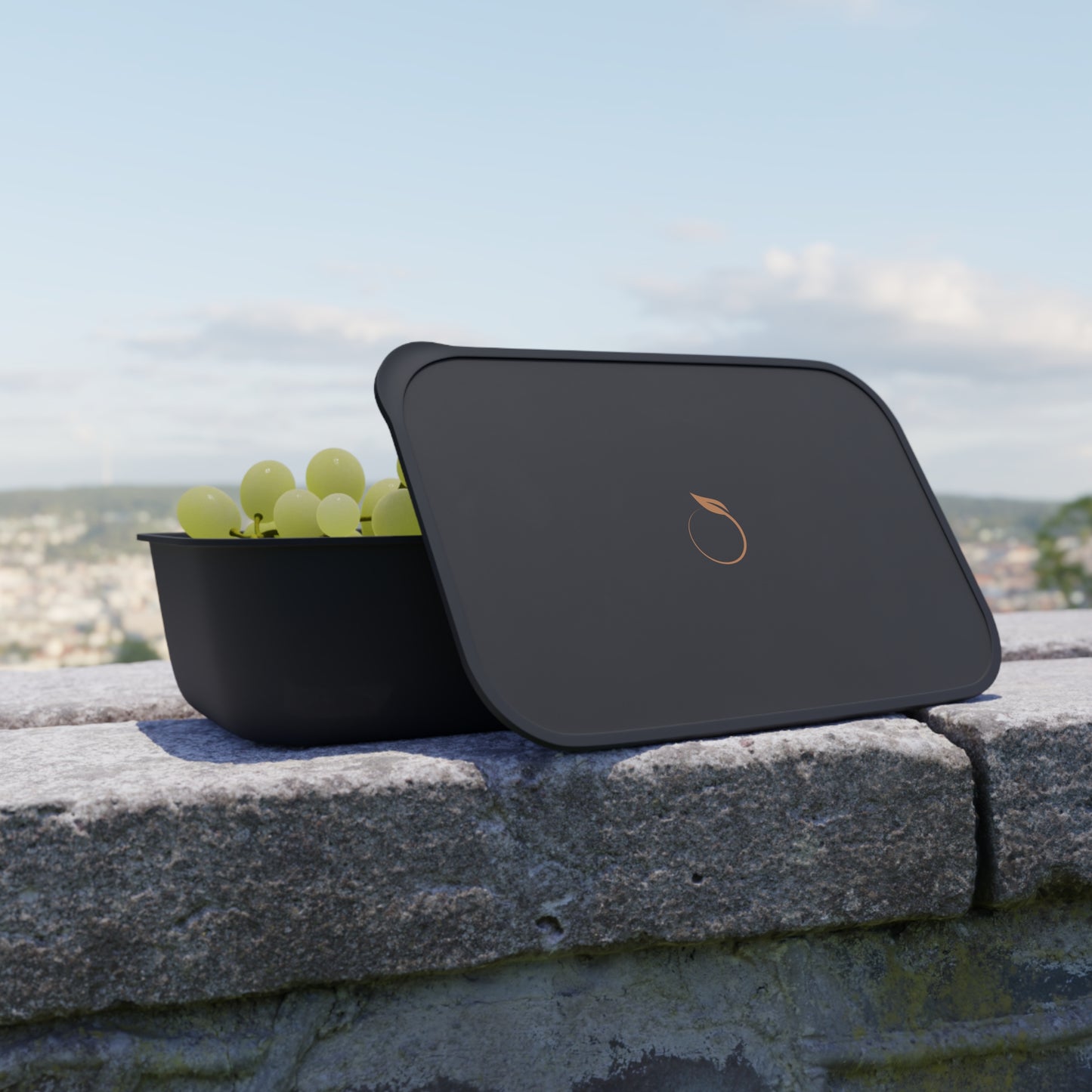 Elegant PLA Bento Box with Utensils - Eco-Friendly Meal Prep Solution